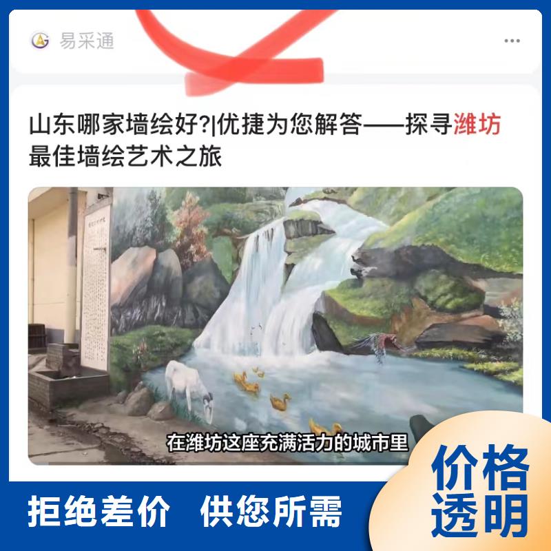 视频广告投放