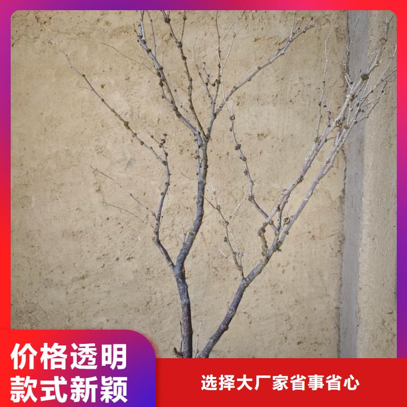 仿夯土稻草漆，艺术涂料厂家，农家小院改造，仿泥巴涂料厂家施工