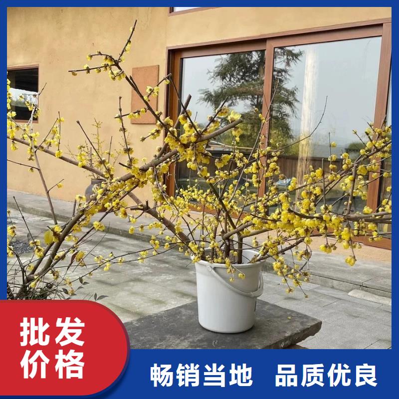 夯土墙面漆，仿泥巴墙涂料，稻草漆厂家，仿夯土肌理漆施工厂家