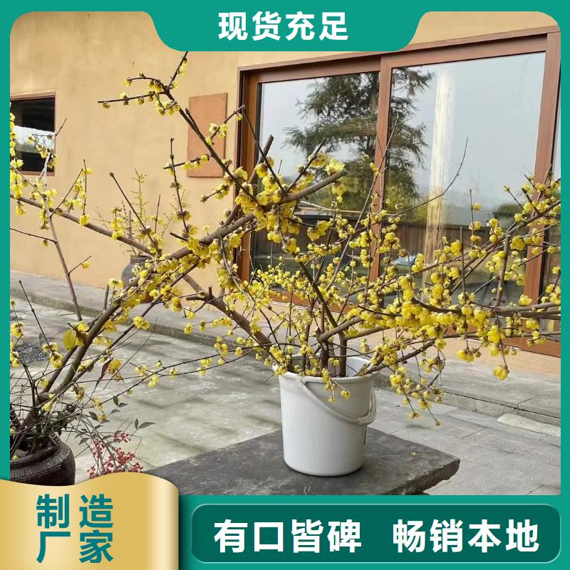 民宿改造稻草漆专业施工，源头工厂