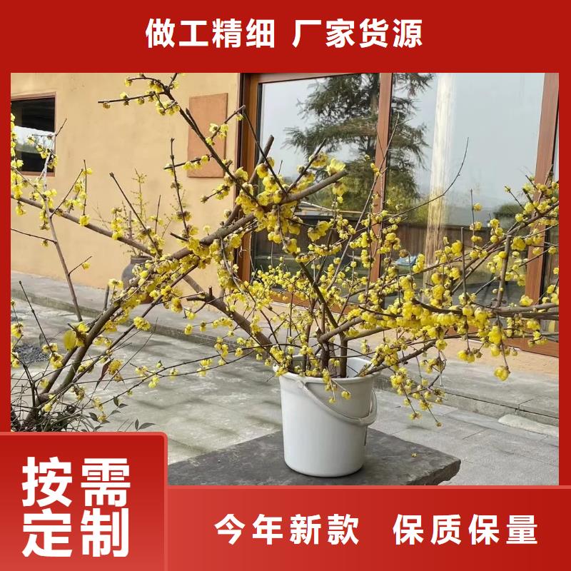 乡村改造稻草漆，仿夯土漆，乡村改造，仿夯土稻草泥全包施工
