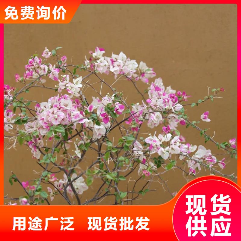 民宿改造，泥巴墙漆，艺术涂料厂家，仿泥巴涂料施工全包价
