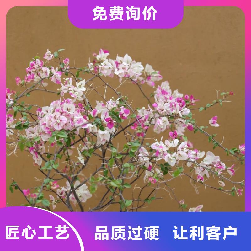 乡村改造，稻草漆厂家，环保涂料，仿夯土涂料施工报价