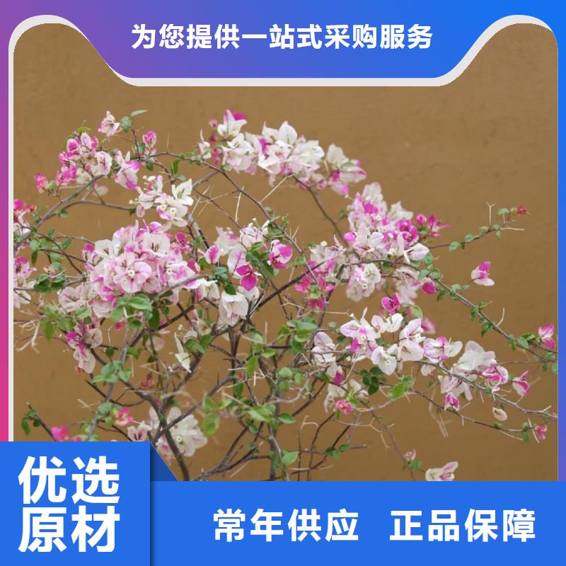 仿泥巴稻草漆，民宿改造，美丽乡村，仿夯土漆厂家批发