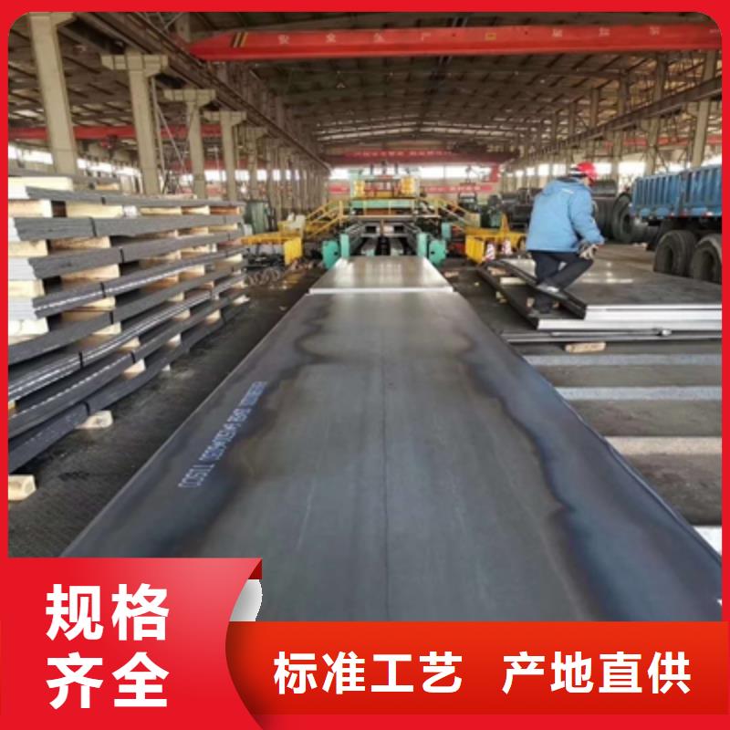 T610L大梁钢板实体大厂