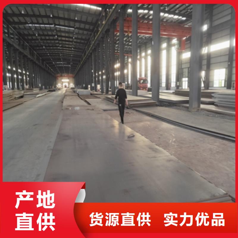 700L汽车板可定制