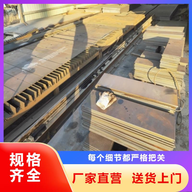 700L汽车板支持定制
