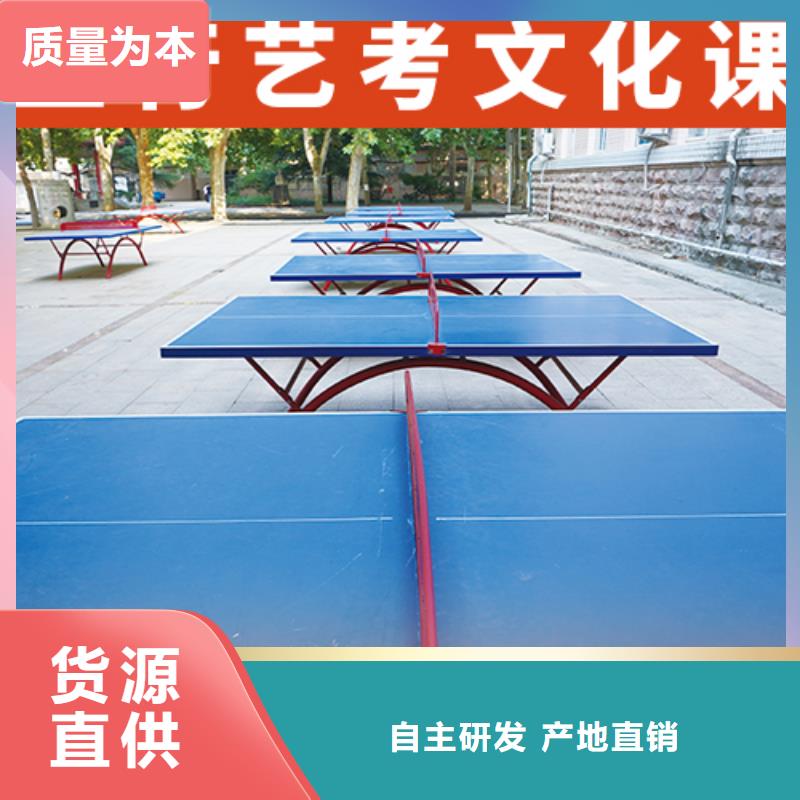 艺考文化课集训艺考文化课冲刺报名优惠