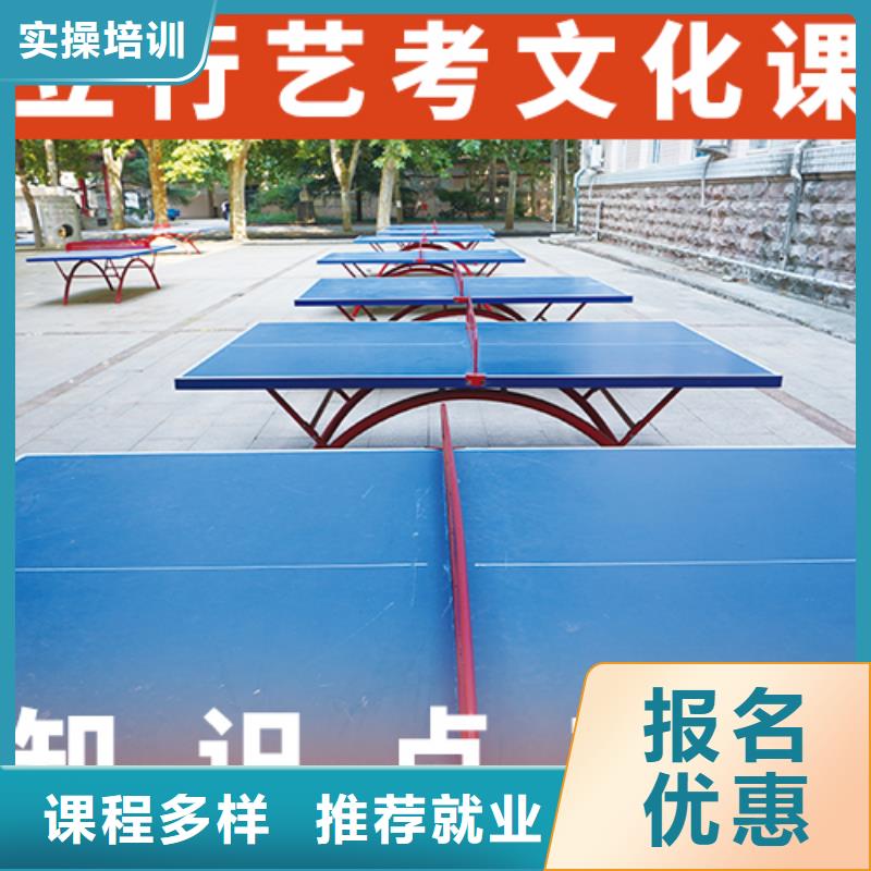 艺考生文化课美术艺考师资力量强