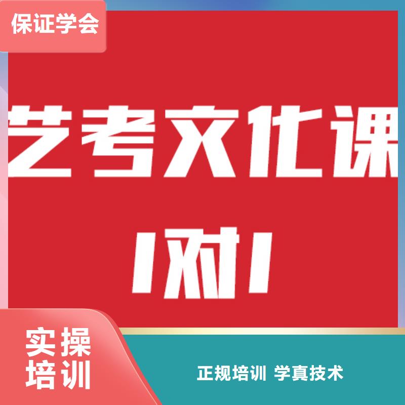 
艺考生文化课冲刺班

哪个好？