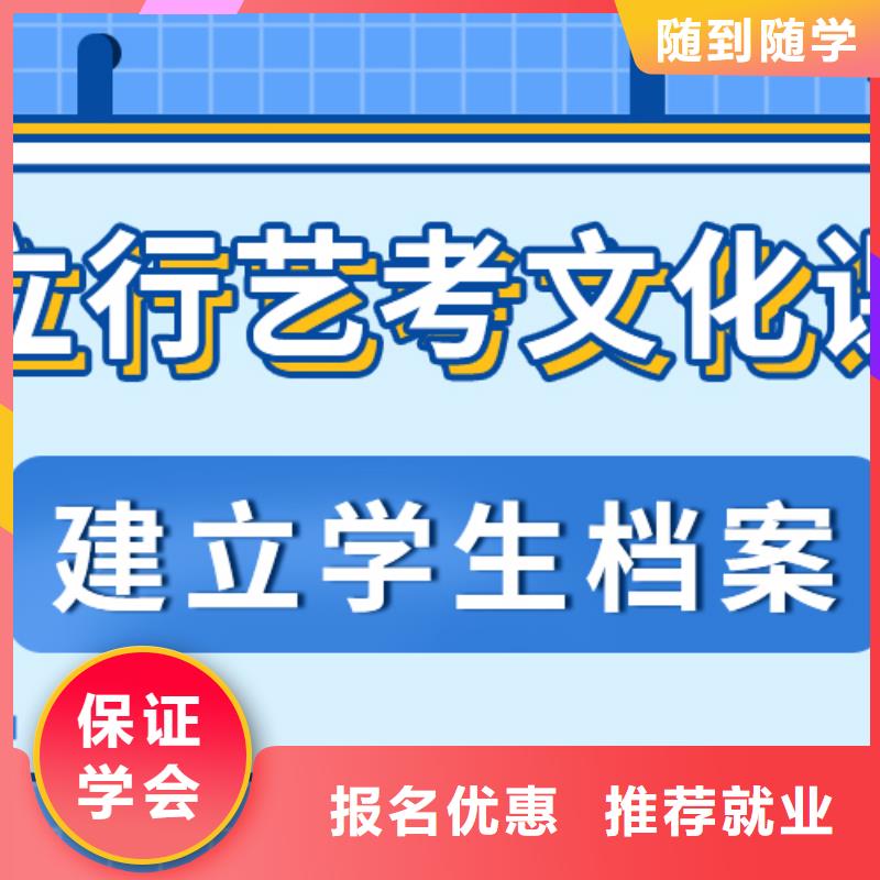 【艺考文化课补习艺考正规培训】