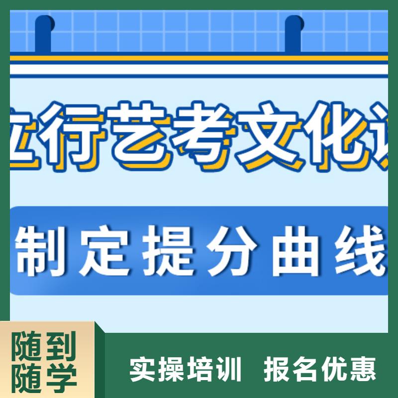 【艺考文化课补习艺考正规培训】
