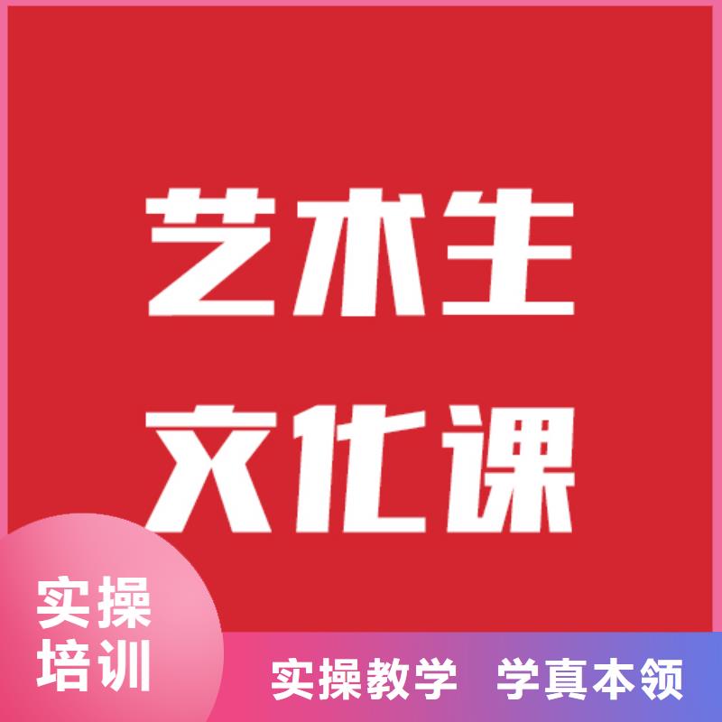 艺考文化课艺考学真技术