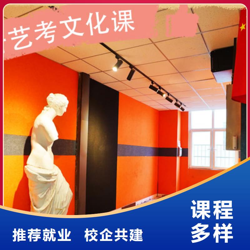 艺考文化课集训艺术生文化补习就业不担心