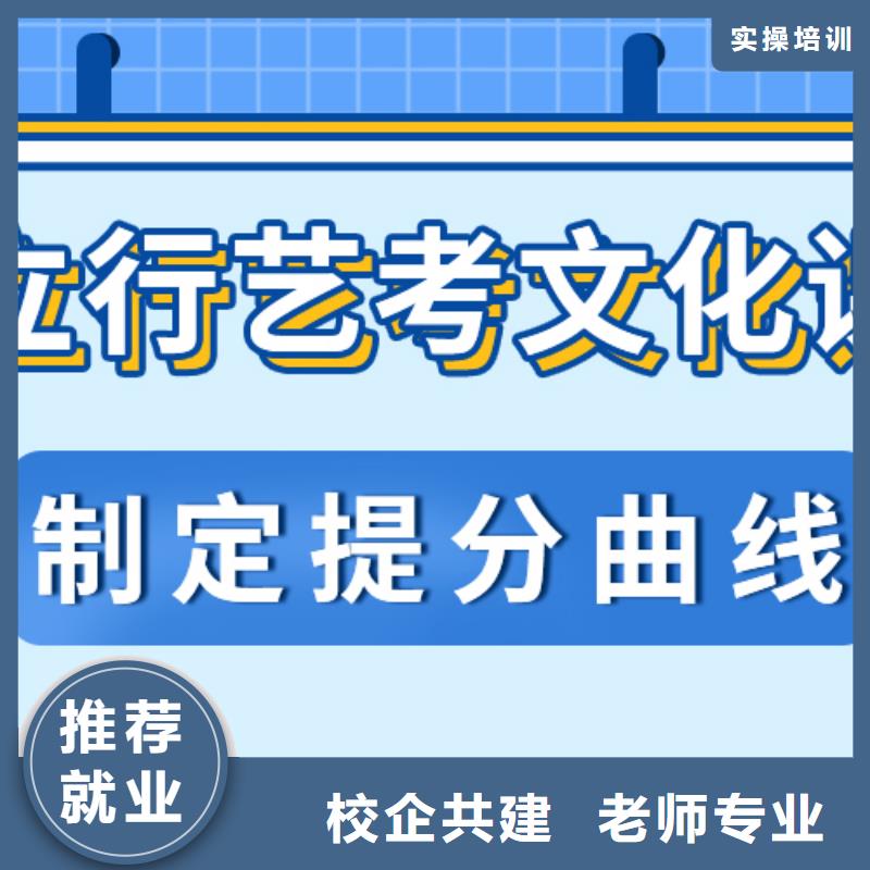 艺考文化课高三复读辅导老师专业