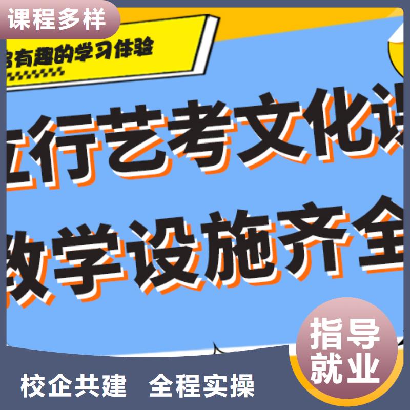 艺考文化课高三复读辅导老师专业