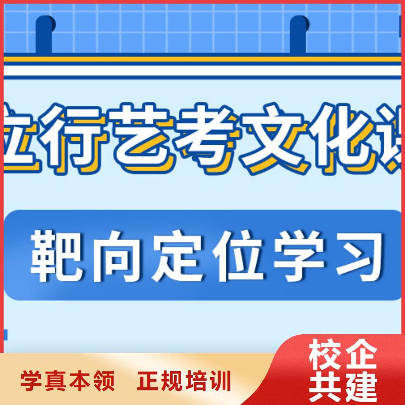 艺考文化课,高中一对一辅导就业