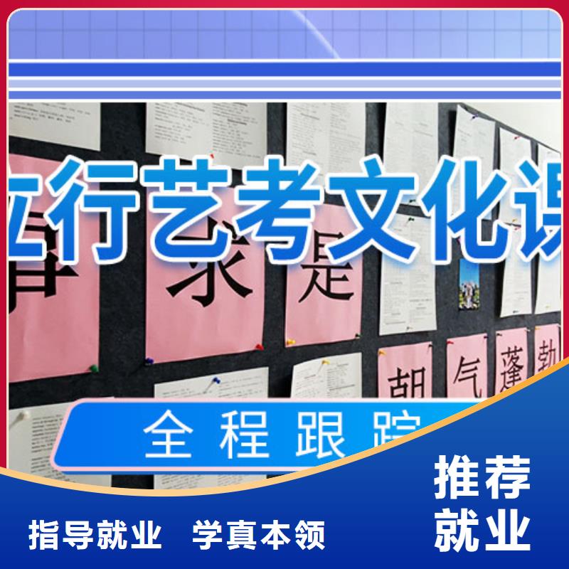 艺考文化课,高中一对一辅导就业