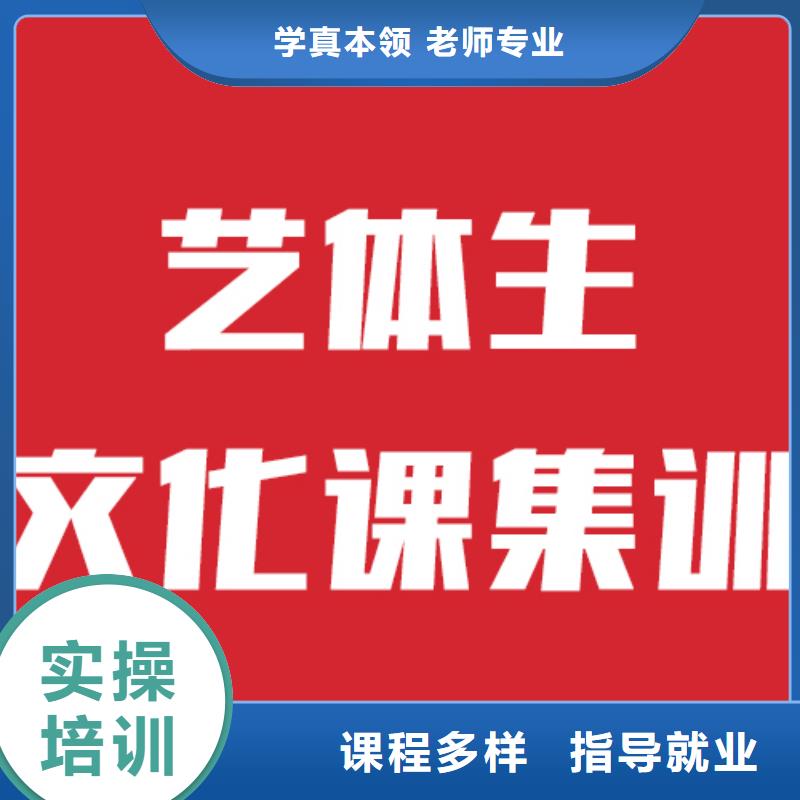 艺考文化课学校高考辅导机构理论+实操