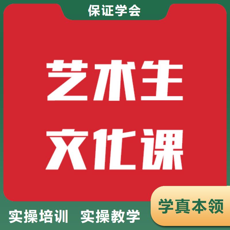 艺考文化课学校高考辅导机构理论+实操