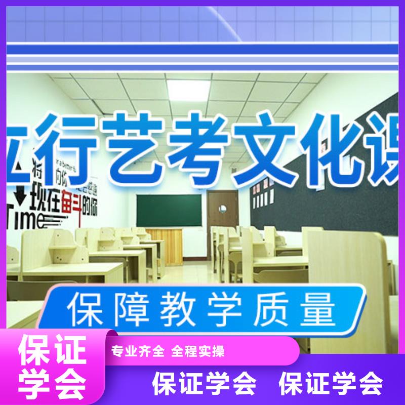 艺考文化课补习,【艺考培训机构】课程多样