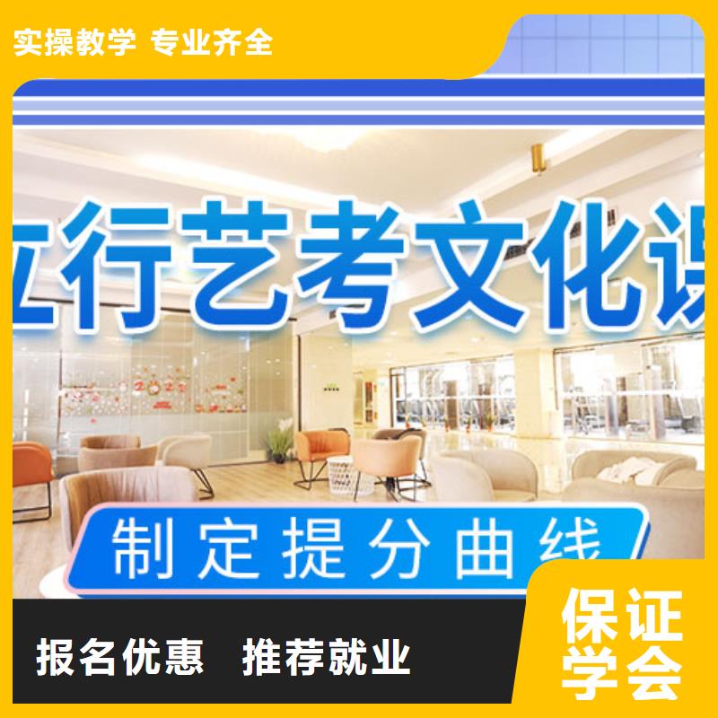 艺考文化课补习,高考小班教学课程多样