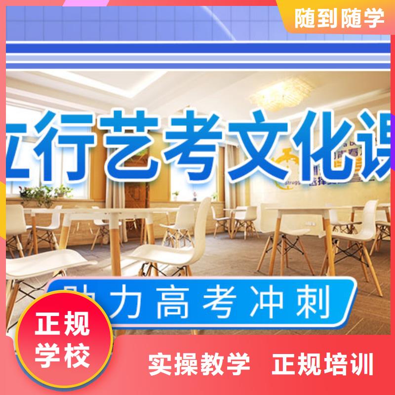 艺考文化课补习,高考小班教学课程多样