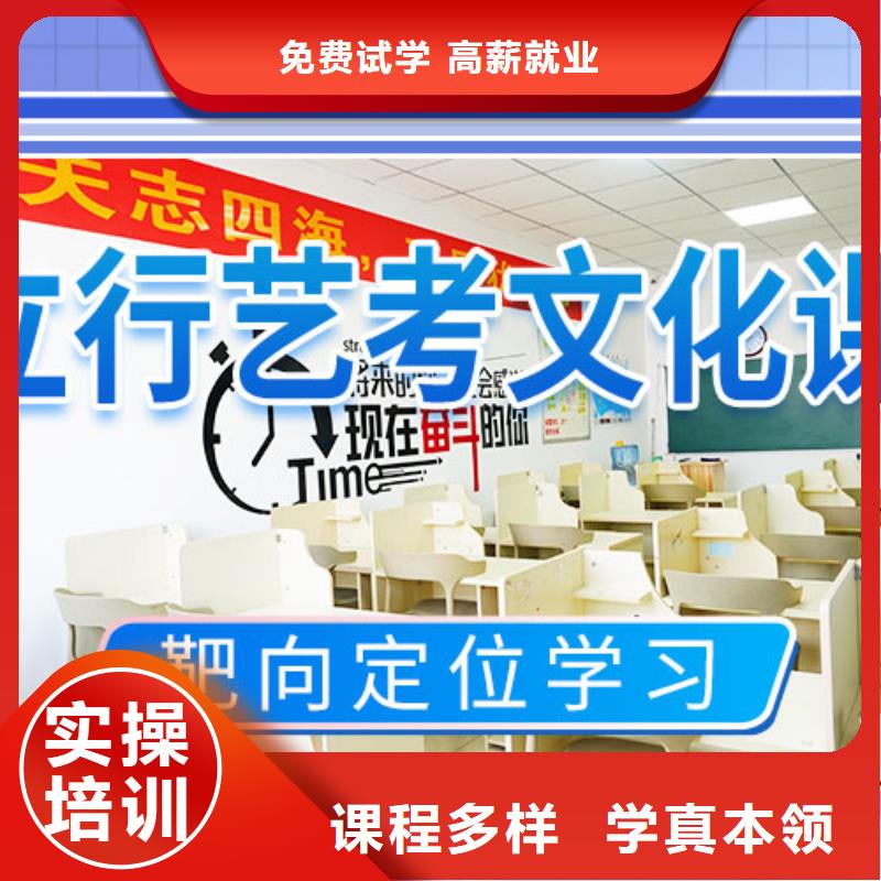 艺考文化课补习,【艺考培训机构】课程多样