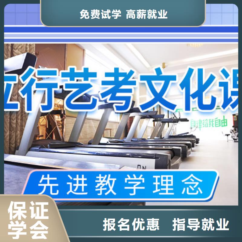 艺考文化课学校-高考语文辅导学真技术