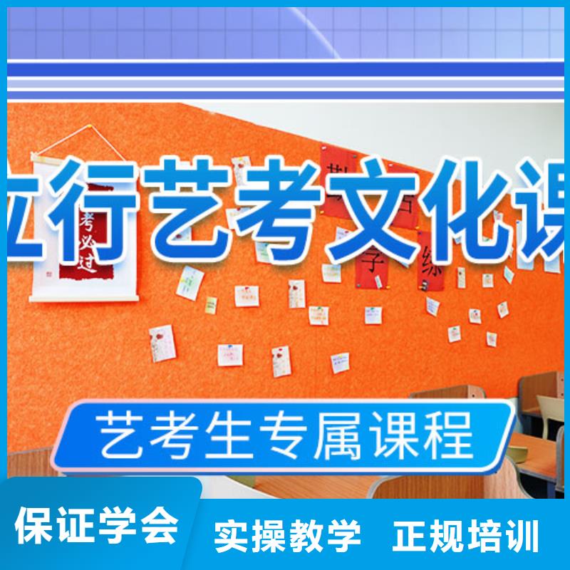 艺考文化课学校-高考语文辅导学真技术
