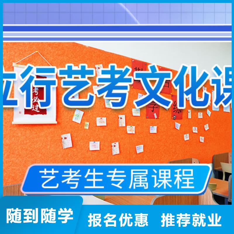艺考文化课学校-高考语文辅导学真技术