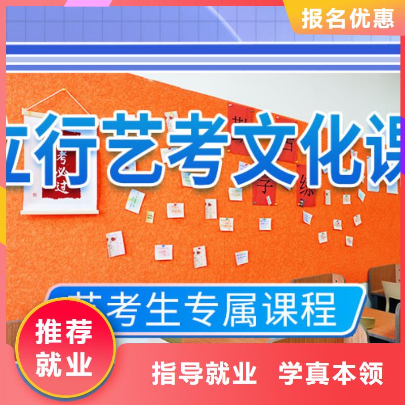 艺考文化课学校-高考语文辅导学真技术