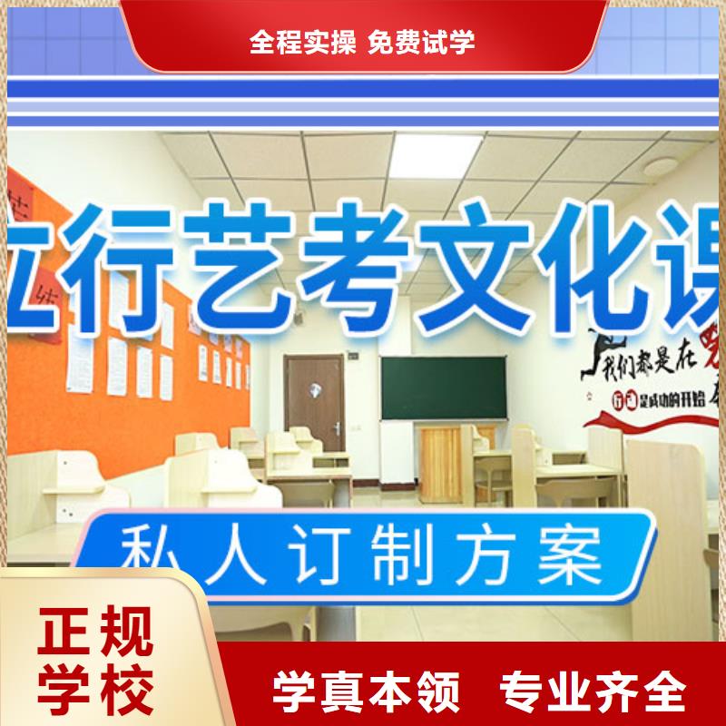 艺考文化课培训,艺考培训机构学真技术