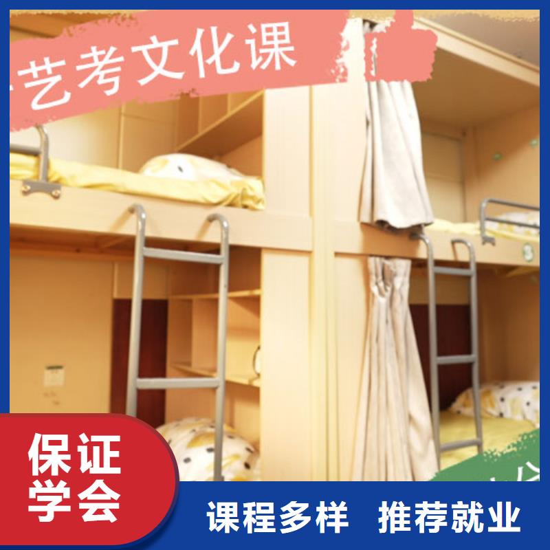 艺考生文化课集训班艺考辅导机构老师专业
