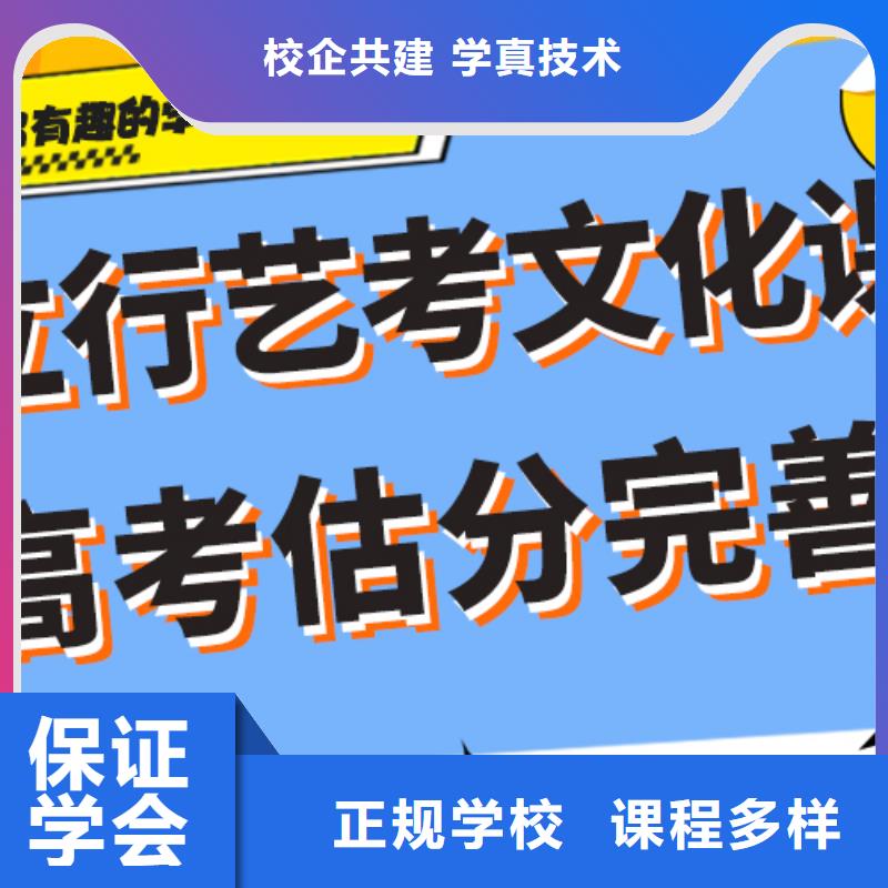 艺考文化课集训高考物理辅导理论+实操