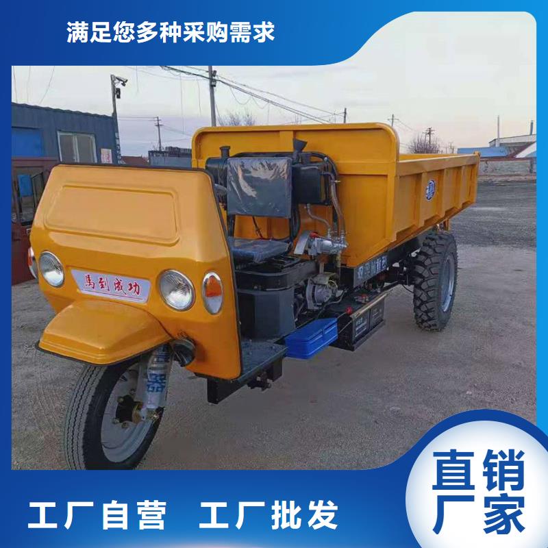 瑞迪通三轮车价格行情走势