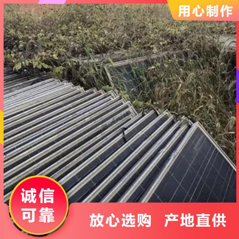 光伏板 含铜泥回收随叫随到