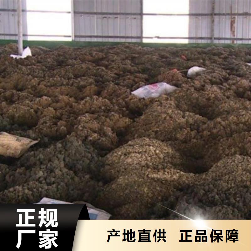 含铜泥渠道正规