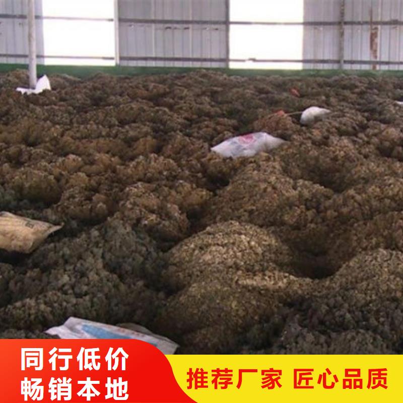含铜泥回收光伏板价高同行