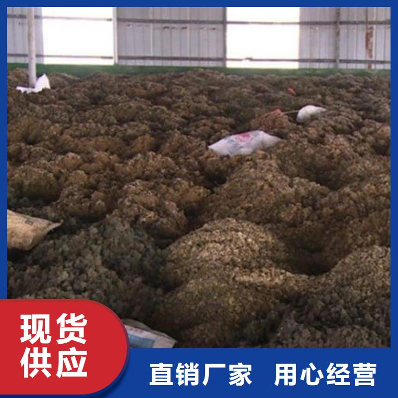 【含铜泥 回收光伏板上门收购】