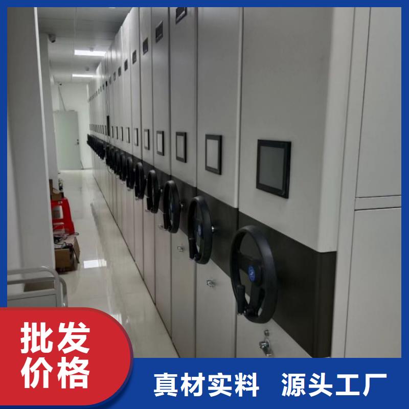 尽善尽美【世晔】网片式油画密集架