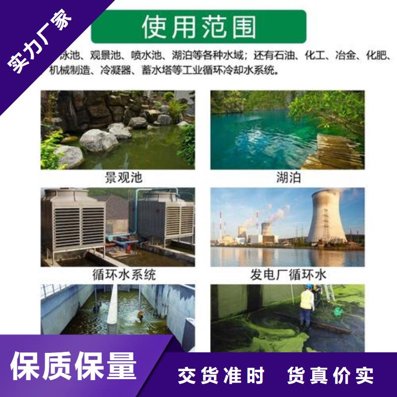 杀菌灭藻剂实体诚信经营
