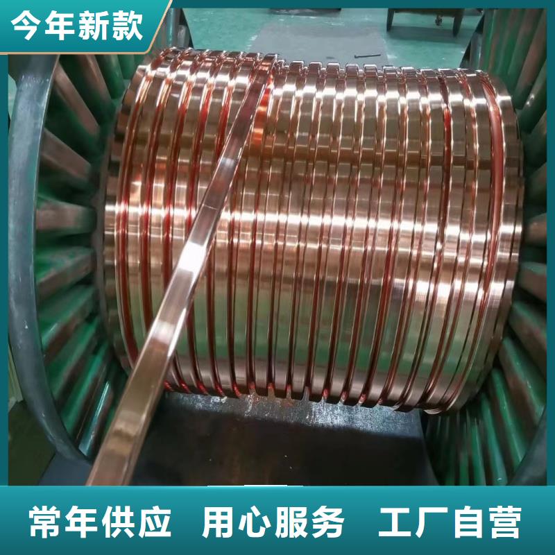 挤压紫铜排生产厂家