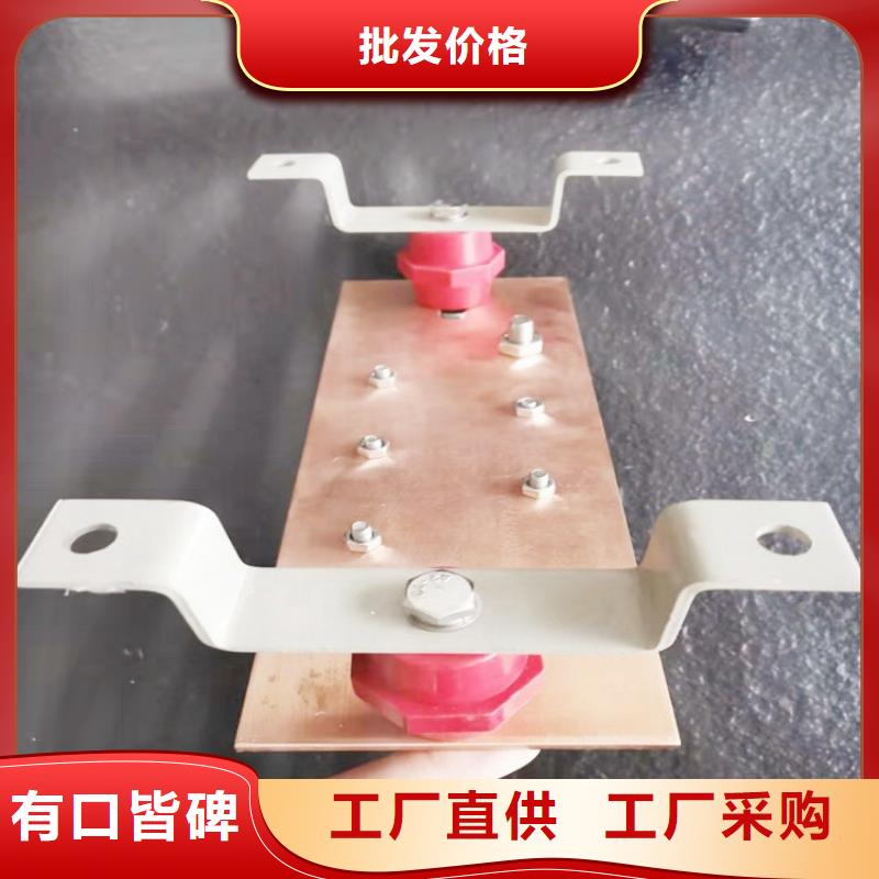 紫铜排N年专注