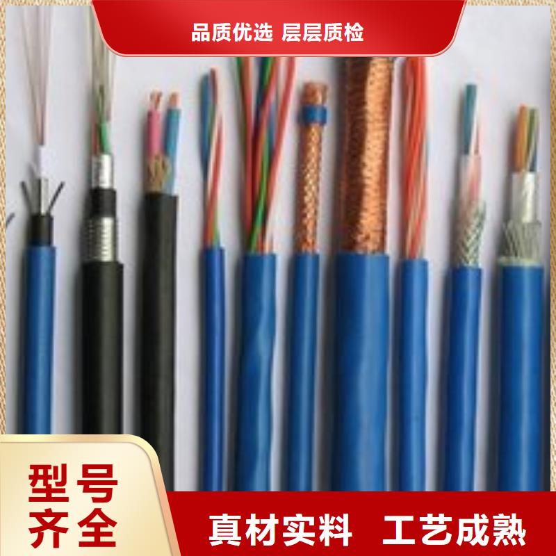 电线电缆DJYVP电缆价格实惠