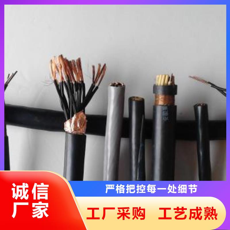 电线电缆PTYA23电缆商家直供
