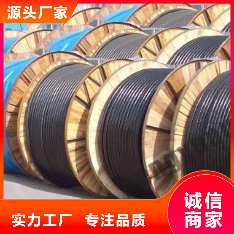 电线电缆MGXTSV光缆大品牌值得信赖