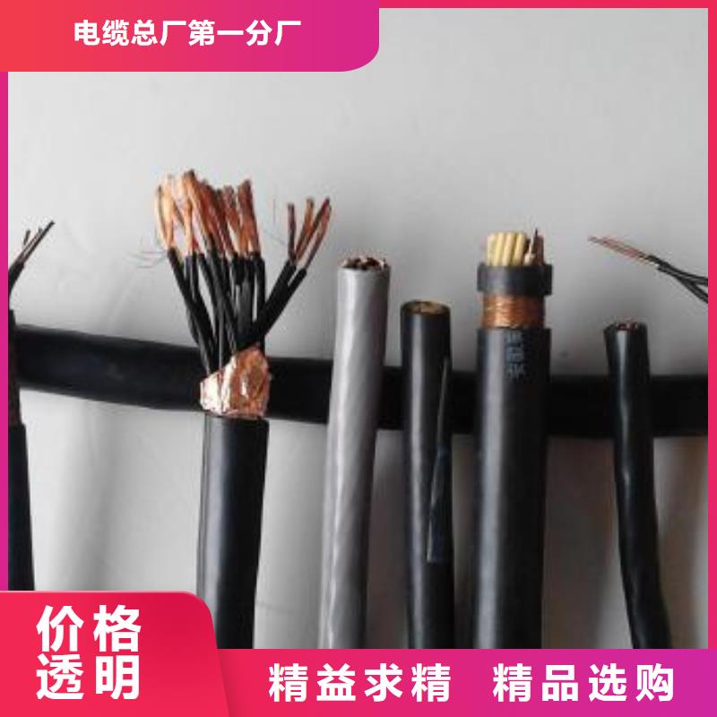 电线电缆RS485电缆同行低价