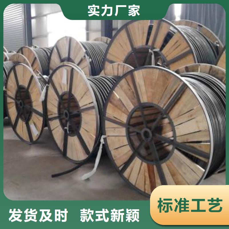 电线电缆KVV22电缆客户信赖的厂家
