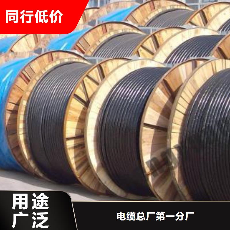 电线电缆PTYA23电缆畅销当地